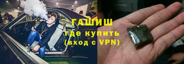 тгк Ельня