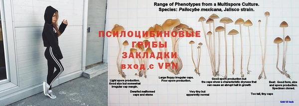 тгк Ельня
