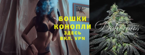 тгк Ельня