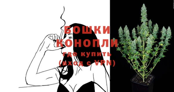 тгк Ельня