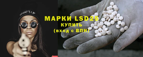 молекула духа Елабуга