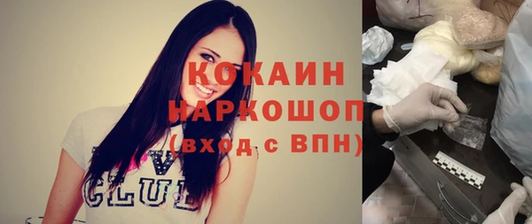 тгк Ельня