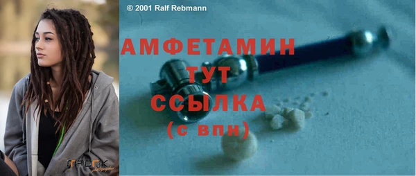 молекула духа Елабуга