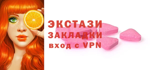 тгк Ельня