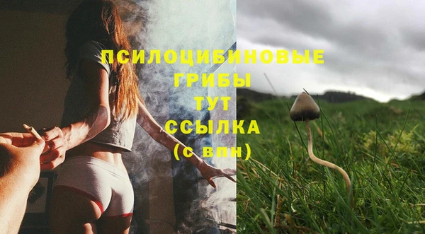 молекула духа Елабуга