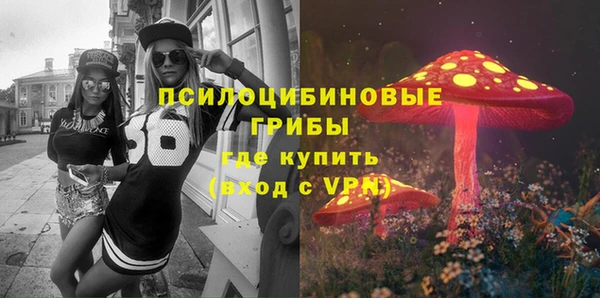 дурь Заводоуковск