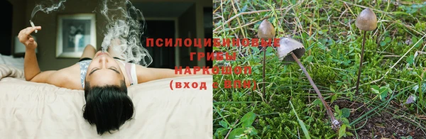 молекула духа Елабуга