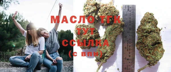 тгк Ельня
