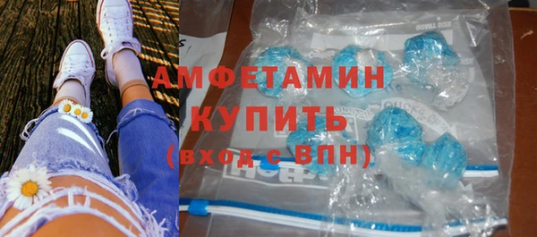 тгк Ельня