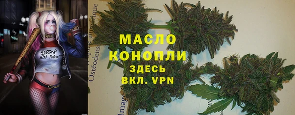 тгк Ельня