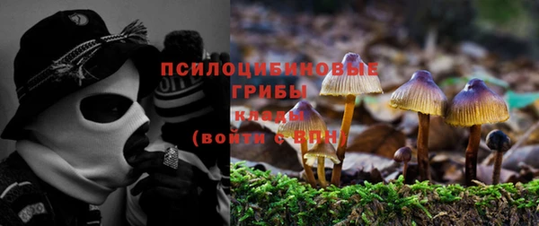2c-b Заволжье