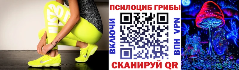 где продают наркотики  Сальск  Галлюциногенные грибы Cubensis 