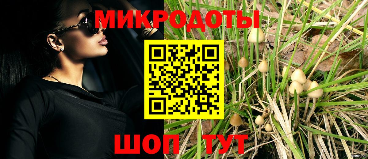 наркотики  Галлюциногенные грибы ЛСД  Вход с VPN  Сальск  Псилоцибиновые грибы Cubensis 