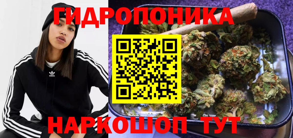 Шишки марихуана планчик Сальск